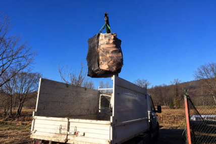 Comment bien stocker le bois de chauffage ?